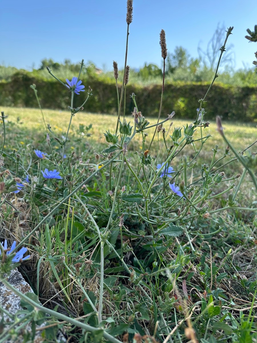 Di madre in&nbsp;Figlia