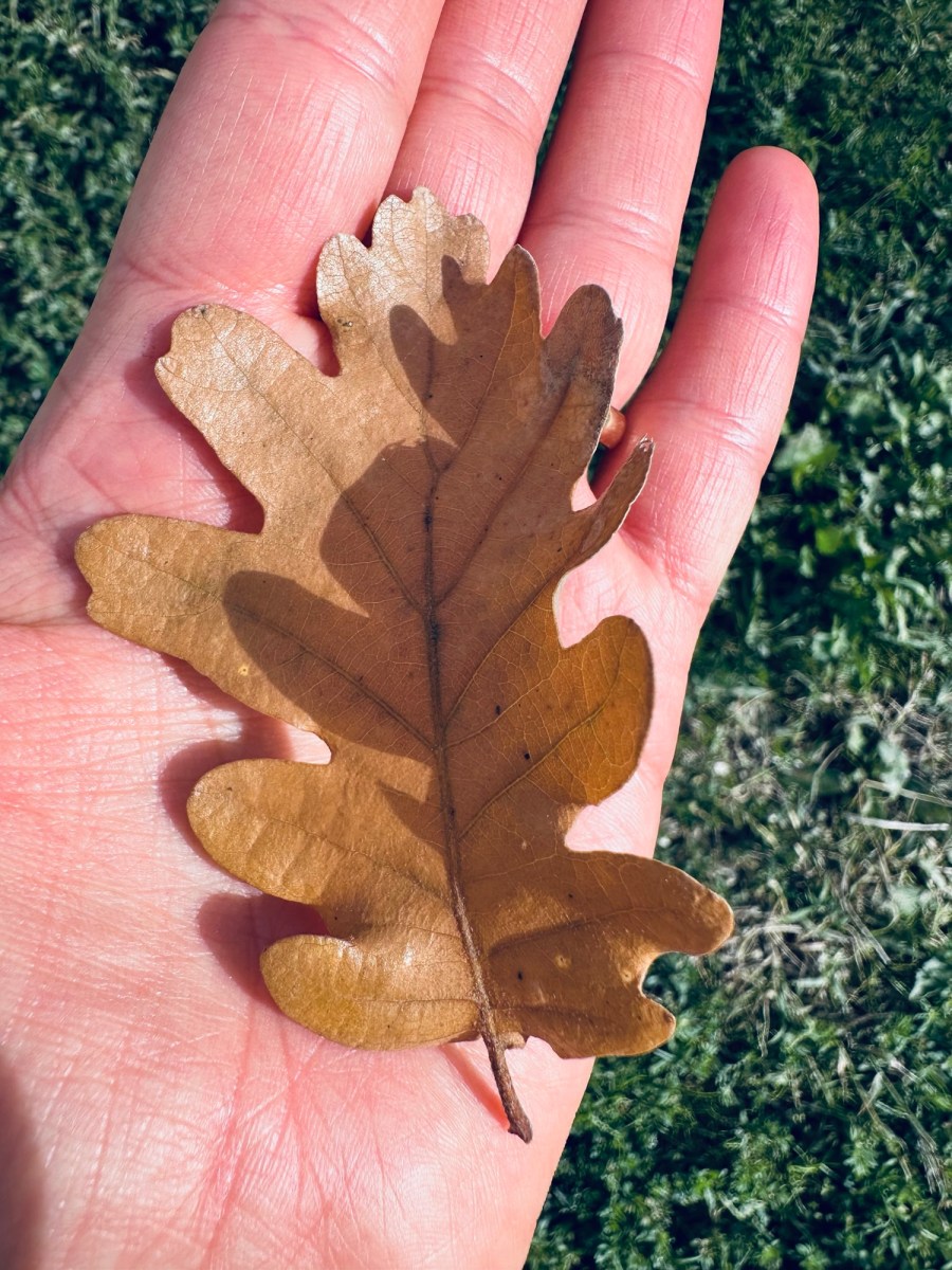 È una questione&nbsp;interna…