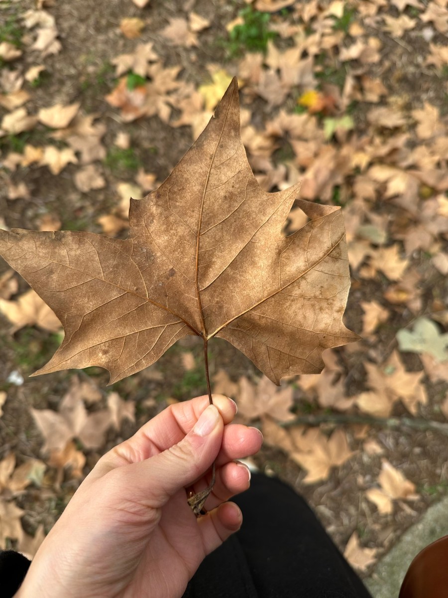 Stare sospesi, un&nbsp;po’